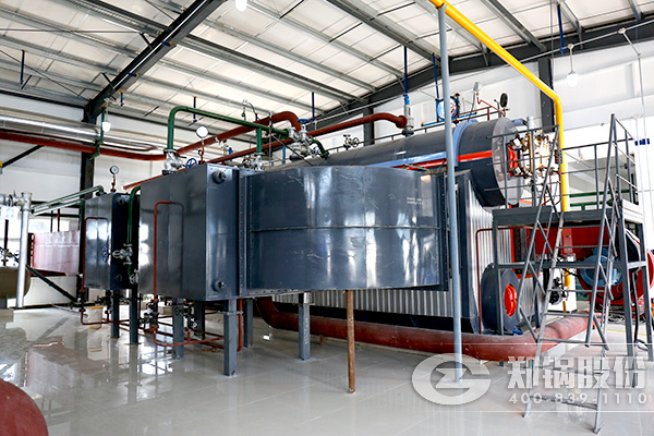 河南省第一台低氮燃烧锅炉