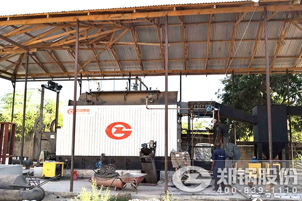 坦桑尼亚饲料加工4吨生物质蒸汽锅炉