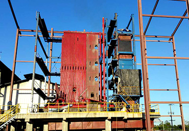 墨西哥30吨生物质蒸汽锅炉项目